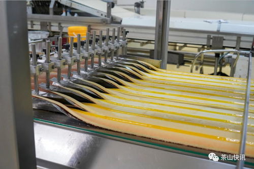 聚焦 六稳六保 茶山18个固定投资项目本季度开工建设